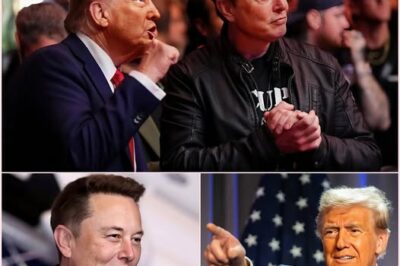 🔥HOT: The relationship between Elon Musk and the White House has taken another step closer when recently President Donald Trump decided to give Elon Musk a power that no one has ever had before 👇👇
