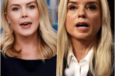 Karoline Leavitt Faces Arrest Warrant—Pam Bondi’s Surprise Move Stunned the Judge, Then Changed Everything