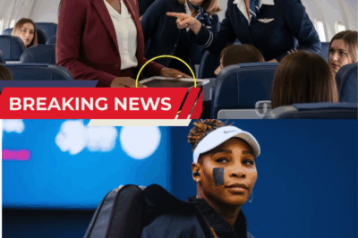 Stewardess Publicly Embarrasses Black Woman for ‘Touching Too Much’—Only to Learn She’s the Billionaire Behind the Airline’s Success