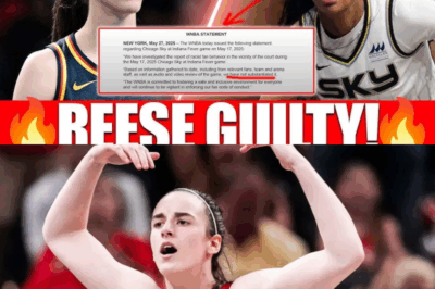2 Minutes Ago WNBA Investigation Finds Angel Reese Responsible Caitlin Clark Officially Cleared!