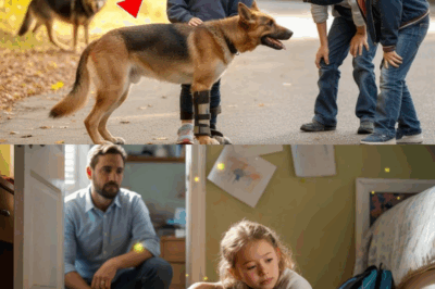 They Laughed at the Little Girl’s Disabled Dog—Until the Day It Put Its Life on the Line to Save Her