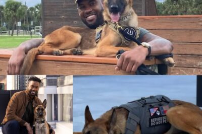 How Assistance Dog Nala Helped Lawrence Jones Rise—Transforming His Life, His Spirit, and His Career