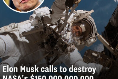 Elon Musk calls to destroy NASA’s $150,000,000,000 space station flagging ‘serious concerns’ for astronauts’ safety