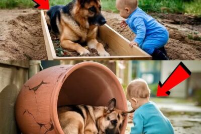 German Shepherd Found Curled Up in a Broken Flowerpot—What the Baby Did Next Brought Everyone to Tears