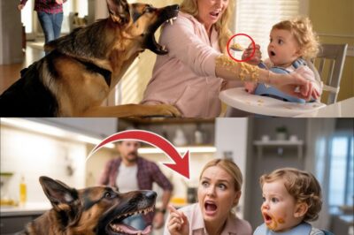 Retired K-9 Hero Bites Nanny During Breakfast—Uncovers Poison in Toddler’s Food