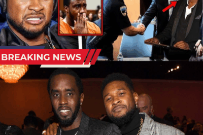 BREAKING: Usher’s Secret FBI Meeting EXPOSES All — Diddy Left Absolutely SHOCKED!