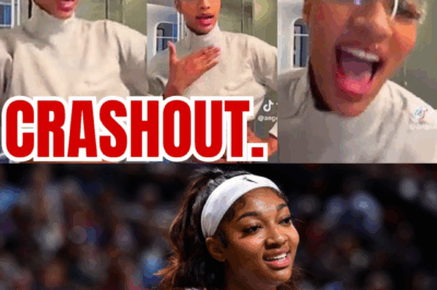 Angel Reese has UNHINGED CRASHOUT on Social Media over MEBOUNDS from WNBA Fans! THIS IS WEIRD!