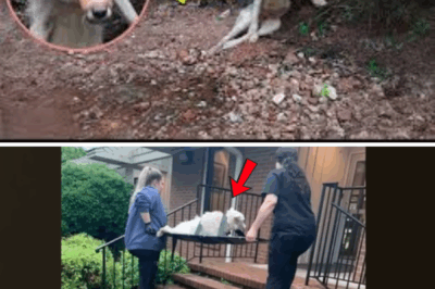 With 6 bullets and tape over her mouth, she cries on the riverbank waiting for the end