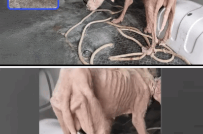 “Punished, chained in the backyard”–hunger ran through his veins after weeks without food