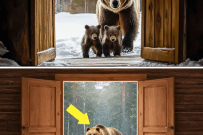 Man Lets a Freezing Bear and Her Cubs Into His Home – Then the Unthinkable Happens!