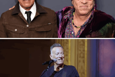 Bruce Springsteen Guitarist Stevie Van Zandt Undergoes Emergency Surgery