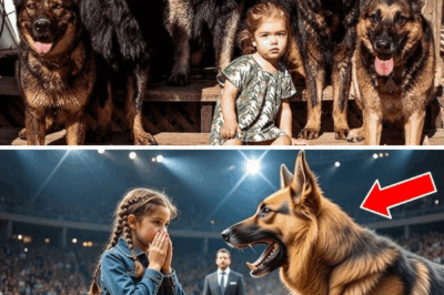 A Little Girl Named River and the Loyal Paws Beside Her: A Family’s Journey of Love