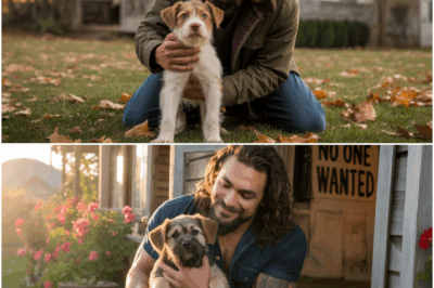 Jason Momoa Adopts a Puppy No One Wanted—What Happens Next is Magical!