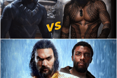 Aquaman vs Black Panther – Which Actor is RICHER?