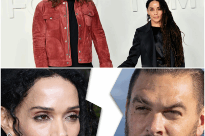 What’s Really Going on With Lisa Bonet and Jason Momoa’s Divorce