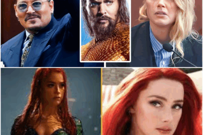 Amber Heard Officially BANNED From WB And Aquaman! (Momoa Confirmed)