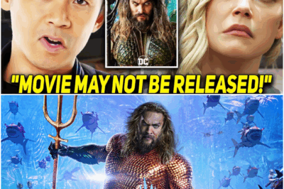 WB Angry! Amber Reportedly Has COST Them OVER $200M For Aquaman 2