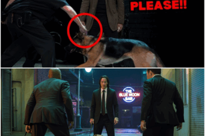Men Attack Keanu Reeves, Unaware That His Rescued Dog is A Former Police Officer!