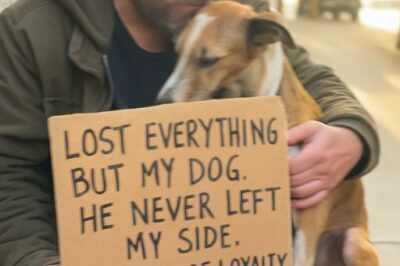 “I SLEPT UNDER A BRIDGE—BUT MY DOG KEPT ME WARM AND SANE”