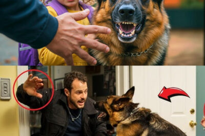 A Little Girl Was Almost Taken, What The Stray Dog Did Next Shocks Everyone!