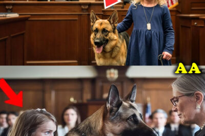 Orphaned Girl and Her Dog Suddenly Appear in Court—Judge Stops Trial After Shocking Reaction!