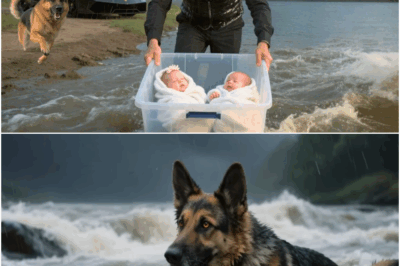 Millionaire CEO throws his newborn Twins into the River—But what the German Shepherd does Next…