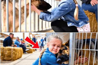 Daughter of Dead Cop Walks Into German Shepherd Auction Alone — The Reason Why Is Shocking!