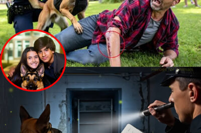 K9 Dog Uncovers Secret Network – His Instinct Saved Missing Kids and Exposed a Chilling Truth