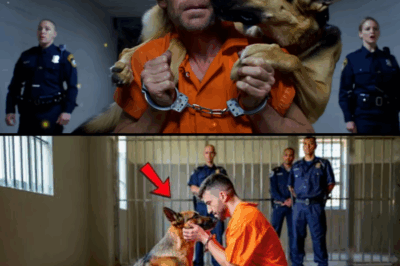 K9 Dog Hid Evidence Inside His Body for 5 Years — Freed His Owner Minutes Before Execution