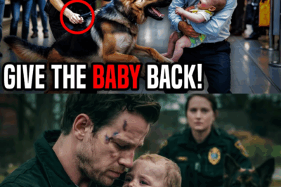 K9 Dog Barked Nonstop at a Man Holding a Baby—The Truth He Was Hiding Made the Terminal Go Silent