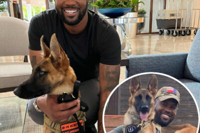 The Special Journey of Nala the Dog to Fox News .How Nala the Dog Changed Lawrence Jones’ Life Forever—What’s Behind This Special Bond?