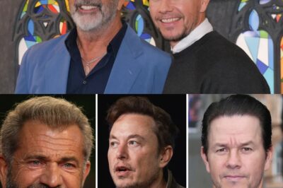 Mel Gibson And Mark Wahlberg Partner With Elon Musk And Invest Between $1 Billion And $3 Billion In A “non-woke” Film Studio Committed To Traditional Family Values.