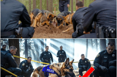 GERMAN SHEPHERD Kept Circling a Spot in the Forest— They Found the Unimaginable!