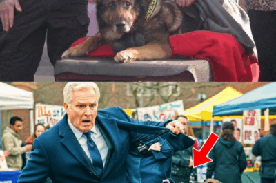 K9 Dog Bites Businessman’s Coat—What Falls Out Leads to a Missing Person’s Breakthrough