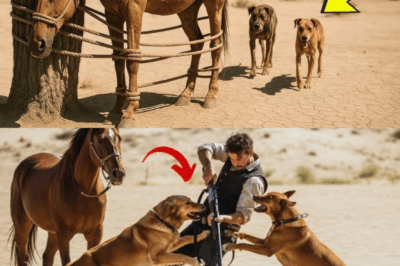 Two Stray Dogs Found a Horse Tied Up in the Desert… What They Did Next Shocked Everyone