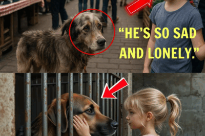 Girl Saves Neglected Dog from Market—You Won’t Believe the Heart-Stopping Act That Follows!