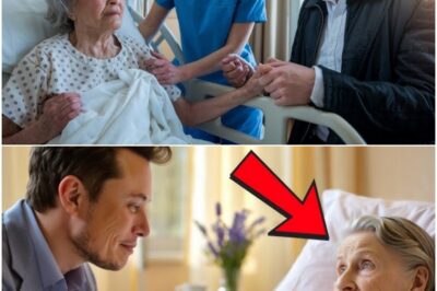 Elon Musk’s Mother’s Secret Hospital Visit: The Nurse’s Words That Brought Her to Tears