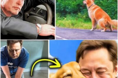 Elon Musk Saw a Dog on the Side of the Road – The Truth Will Leave You Speechless