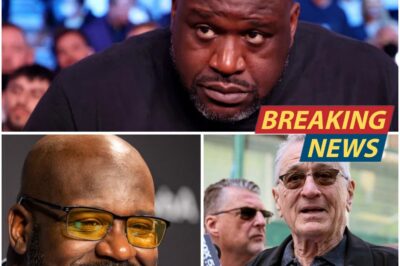 Shaquille O’Neal’s Cannes Film Festival Confrontation with Robert De Niro: Fact or Fiction