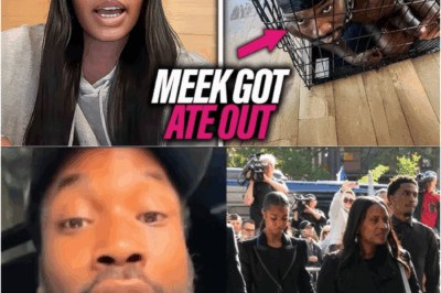 Meek Mill In TEARS After Nicki Minaj CONFIRMS His SECRET Relationship With Diddy!