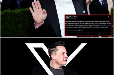 Elon Musk’s Battle Against Online Scams and Commitment to a Safe Digital Future