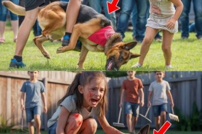 They Kicked the Dog in Front of Her—What She Did Next Made the World Watch