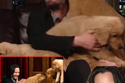 Keanu Reeves Becomes an Unexpected Hero: Rescues and Builds Dog Sanctuary After Texas Flood Tragedy