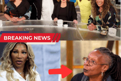 Serena Williams Exposes The View in a Cold and Devastating Exchange