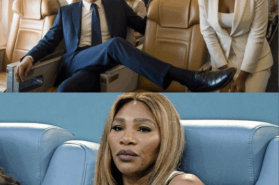 “Breaking Barriers at 30,000 Feet: Serena Williams’ Stand Against Privilege and Prejudice”