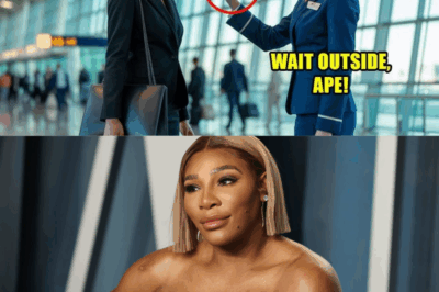 “Told to Wait Outside by Security, Serena Williams Shocks the Entire Company by Firing the Whole Management Team Just 5 Minutes Later”