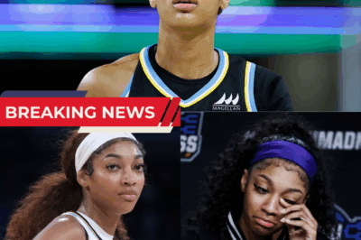 Angel Reese Rumor: Unsubstantiated Claims of a Public Disturbance