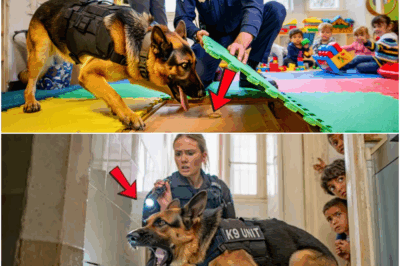 K9 Dog Scratches Daycare Floor—Uncovers Hidden Chamber That Shocks Entire Town