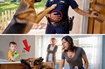 Her K9 Blocked the Door—What He Was Sensing Inside Nearly Took Her and the Baby’s Life