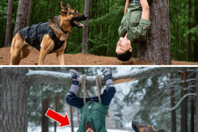 K9 Finds Ranger Hanging Upside Down from a Tree – What Happens Next Will Shock You!